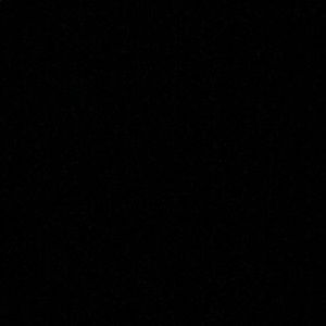 Meet your Posher, Sophie